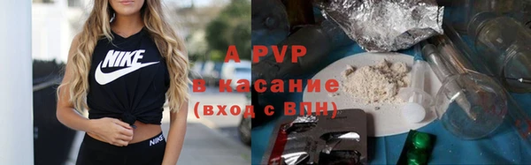 молекула духа Приозерск