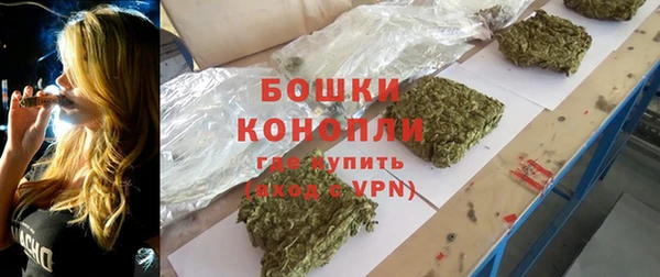 spice Беломорск