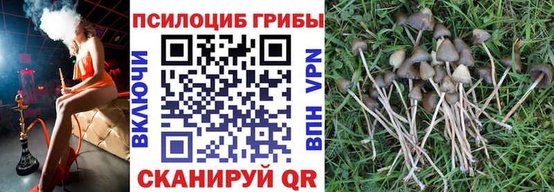 даркнет сайт  Чусовой  Псилоцибиновые грибы GOLDEN TEACHER 
